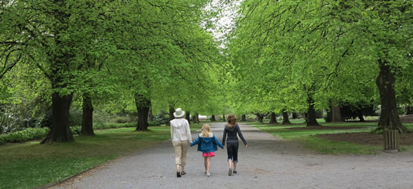 Family walking along path through trees
