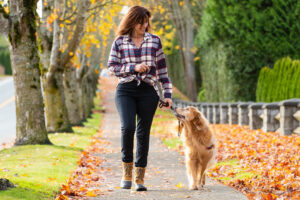 woman walking her dog on a sidewalk covered with leaves